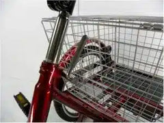 eMobilityStar Adult Motorized Electric Tricycle 399-2