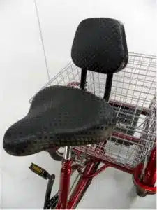 eMobilityStar Adult Motorized Electric Tricycle 399-2