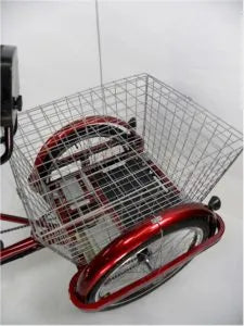 eMobilityStar Adult Motorized Electric Tricycle 399-2