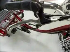 eMobilityStar Adult Motorized Electric Tricycle 399-2