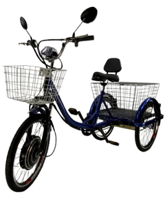 eMobilityStar Adult Motorized Electric Tricycle 399-2