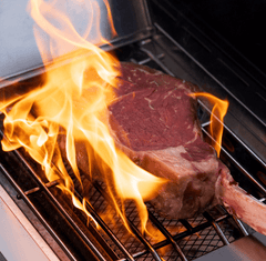 Monument Grills Eminence 605 | Advanced Stainless Natural/Propane Gas Grill