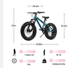 V20235 20 Inch Fat Tire Bike Adult 7 Speed Mountain Bike, Dual Disc Brakes, High Carbon Steel Frame, Front Suspension, Mountain Buggy, City Commuter City Bike, Fat Tire Bike