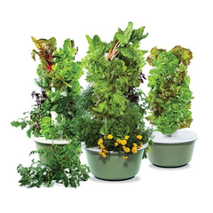 Tower Garden Family Tower Garden GT500