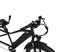 eMobilityStar Fat Tire Electric Tandem Bicycle Bike 10102020