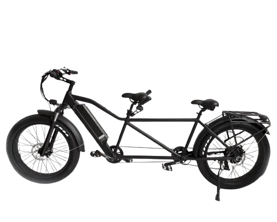 eMobilityStar Fat Tire Electric Tandem Bicycle Bike 10102020