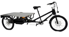 eMobilityStar Electric Flatbed Cargo Trike Tricycle EMS-FCB1000X