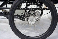 eMobilityStar Electric Flatbed Cargo Trike Tricycle EMS-FCB1000X
