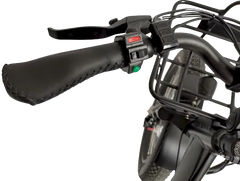 eMobilityStar Fat Tire Electric Tricycle EMS-FTT1000