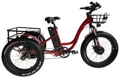 eMobilityStar Fat Tire Electric Tricycle EMS-FTT1000