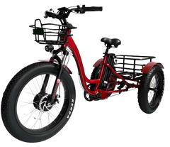 eMobilityStar Fat Tire Electric Tricycle EMS-FTT1000