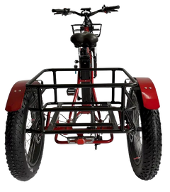 eMobilityStar Fat Tire Electric Tricycle EMS-FTT1000