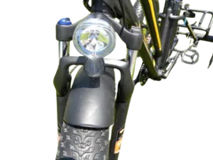 eMobilityStar Fat Tire Electric Tricycle EMS-FTT1000