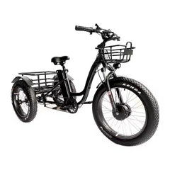 eMobilityStar Fat Tire Electric Tricycle EMS-FTT1000