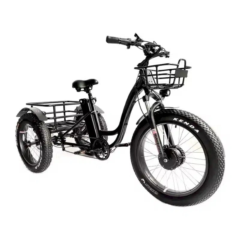 eMobilityStar Fat Tire Electric Tricycle EMS-FTT1000