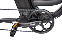 eMobilityStar Fat Tire Electric Tricycle EMS-FTT1000