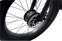 eMobilityStar Fat Tire Electric Tricycle EMS-FTT1000