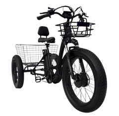 eMobilityStar Fat Tire Electric Tricycle EMS-FTT1000