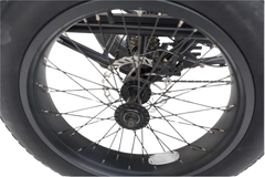 eMobilityStar Fat Tire Electric Tricycle EMS-FTT1000