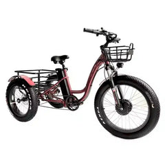 eMobilityStar Fat Tire Electric Tricycle EMS-FTT1000