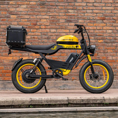 HappyRun G100 (G100 Pro) Long Distance Electric Fat Tire Bike Motorcycle (SAK95715)