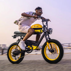 HappyRun G100 (G100 Pro) Long Distance Electric Fat Tire Bike Motorcycle (SAK95715)