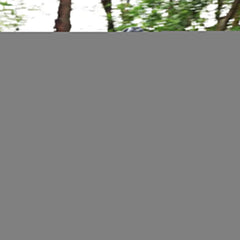 HappyRun Tank G60 Electric Off-Road Fat Tire Moped Bike (SAK48732)