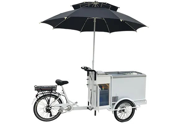 eMobilityStar Electric Ice Cream Tricycle 261