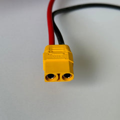 Scoot Motion 48V 12Ah lead-acid battery for Monster or SXT model