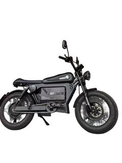 SoverSky Knight /Black Warrior Electric Fat Tire Bike