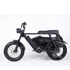 SoverSky Sidecar For Electric Bike