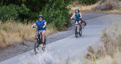 Magnum Bikes Low Rider 2.0 (CPO)