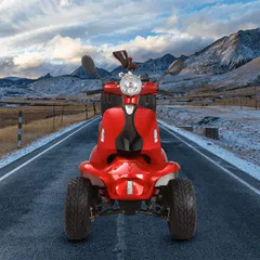 eMobilityStar 4 Wheels Electric Mobility Scooter 1102020