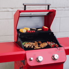 Monument Grills Mesa 200 | Matte Color Foldable Gas Grill
