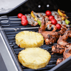 Monument Grills Mesa 200S | Foldable Stainless Gas Grill M200S+98888