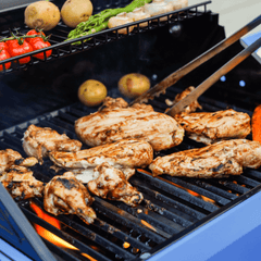 Monument Grills Mesa 200S | Foldable Stainless Gas Grill M200S+98888