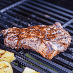 Monument Grills Mesa 305 | Stainless Propane Gas Grill