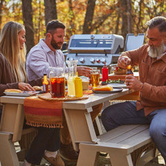 Monument Grills Mesa 415BZ | Stainless Propane Gas Grill