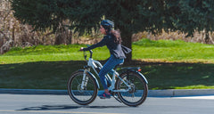 Magnum Bikes Metro X LS