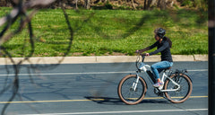 Magnum Bikes Metro X LS