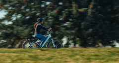 Magnum Bikes Metro X LS