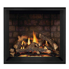 Napoleon Elevation X 36 Direct Vent Electronic Ignition Propane Gas Fireplace With Remote Control, 38" [EX36N/PTEL] (SAK83365)