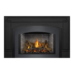Napoleon Oakville X3/X4 Direct Vent Electronic Ignition Natural Gas Fireplace Insert (GDIX3N/4N-1) (SAK21347)