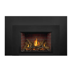 Napoleon Oakville X3/X4 Direct Vent Electronic Ignition Natural Gas Fireplace Insert (GDIX3N/4N-1) (SAK21347)