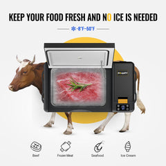 BougeRV CRPRO30 VIP Upgraded 30 Quart 12V Car Fridge Kit E0401-03012+ISE248+E0403-03001