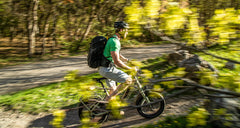 Magnum Bikes Pathfinder 350