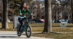 Magnum Bikes Pathfinder T