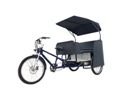 eMobilityStar Electric Pedicab Motorized Tricycle Trike 262