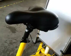 eMobilityStar Electric Pedicab Motorized Tricycle Trike 262