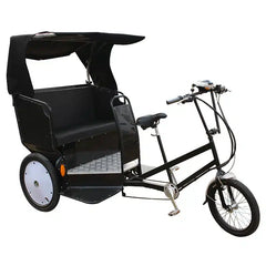 eMobilityStar Electric Pedicab Motorized Tricycle Trike 262